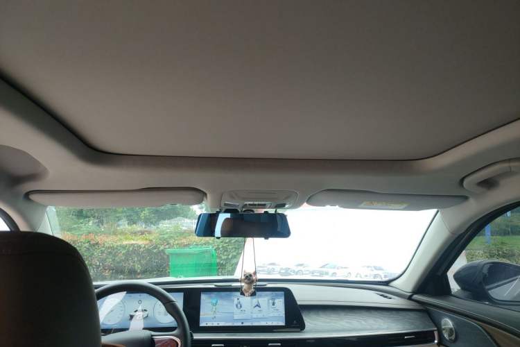 Used Chery Arrizo 8 2023 High-Performance Edition 2.0T DCT Chii Headliner
