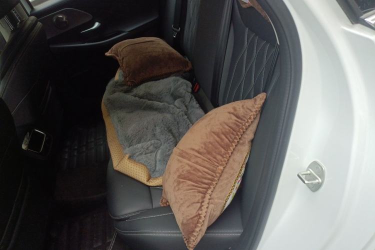 Used Chery Arrizo 8 2025 1.6T DCT Excellence Edition Left Rear Seat