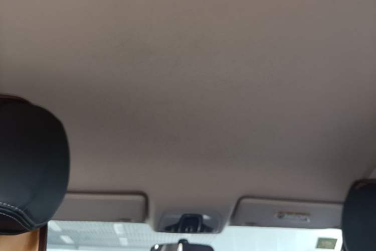 Used Chery Arrizo GX 2018 1.5T CVT Dynamic Color Version China V Standard Headliner