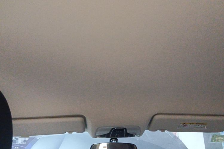 Used Chery Arrizo GX 2018 1.5T CVT Dynamic Color Version China V Standard Headliner