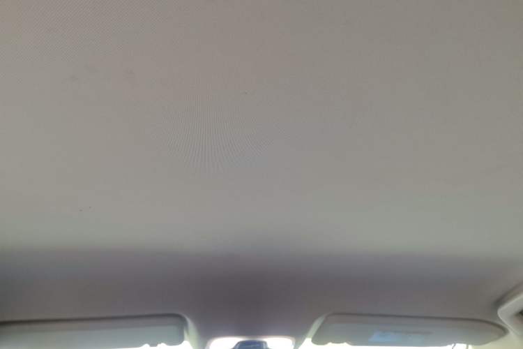 Used Chery Arrizo GX 2018 1.5T CVT Dynamic Color Version China V Standard Headliner