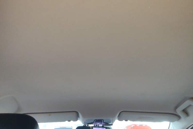 Used Chery Arrizo GX 2018 1.5T CVT Dynamic Color Version China V Standard Headliner