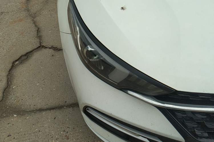 Used Chery Arrizo GX 2018 1.5T CVT Color Version China V Standard Right Front Headlight