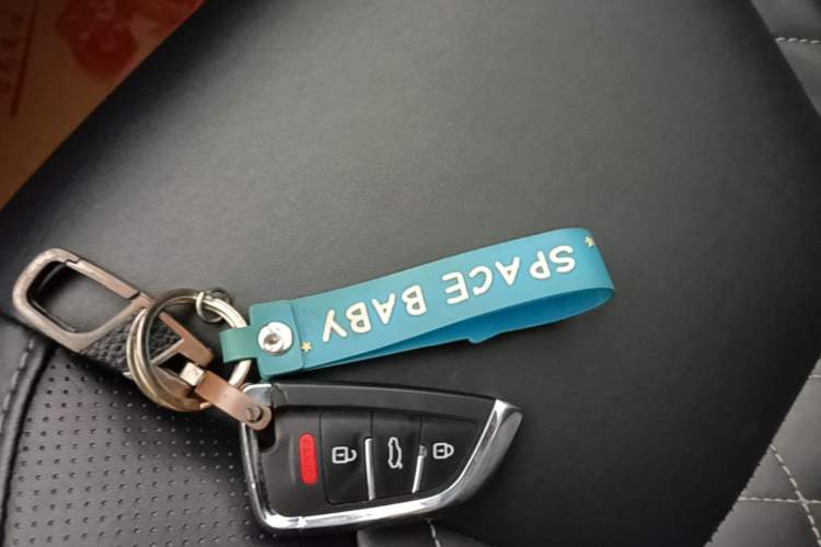 Used Chery Arrizo GX 2018 1.5T CVT Color Version China V Standard Vehicle Key