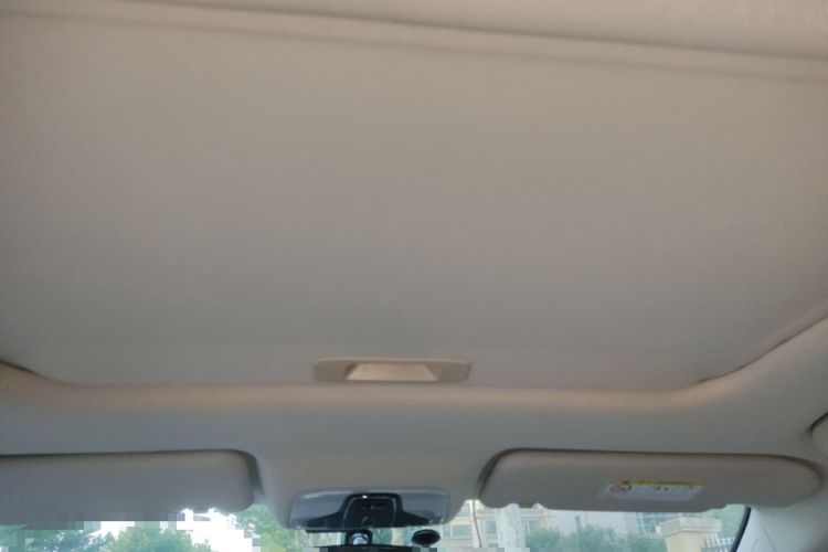 Used Chery Arrizo GX 2019 Pro 1.5T Manual Edition China VI Emission Standard Headliner