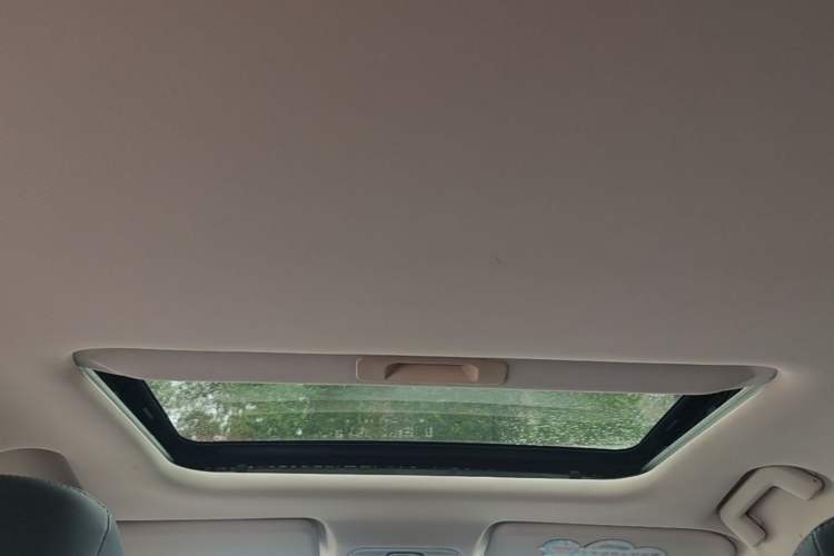 Used Chery Arrizo GX 2019 Pro 1.5T Manual Edition China VI Emission Standard Headliner