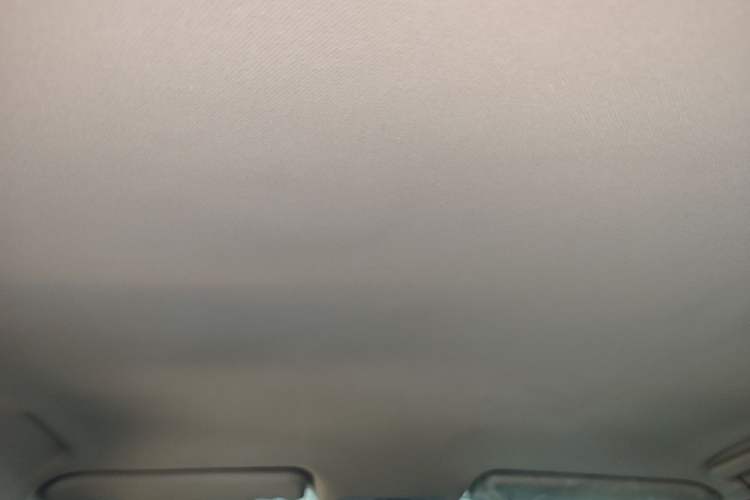 Used Chery Arrizo GX 2019 Champion Edition 1.5L CVT Fashion Model Headliner
