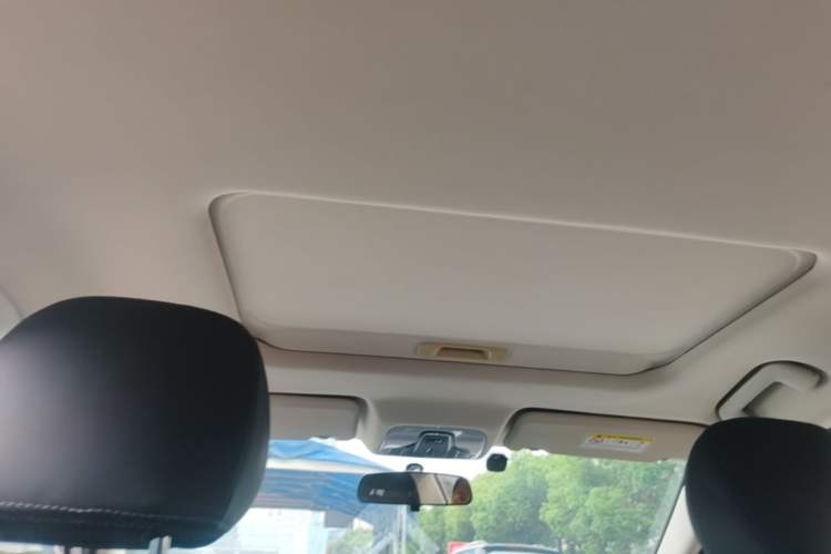Used Chery Arrizo GX 2019 Pro 1.5T Manual Edition China VI Emission Standard Headliner