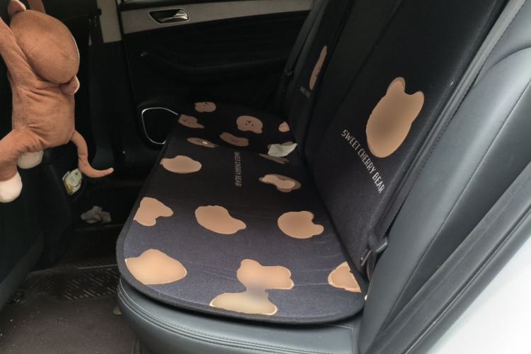 Used Chery Arrizo GX 2019 Champion Edition 1.5L Manual Fashion Model Left Rear Seat