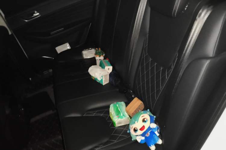 Used Chery Arrizo GX 2019 Pro 1.5T CVT Model Color Version China VI Standard Left Rear Seat