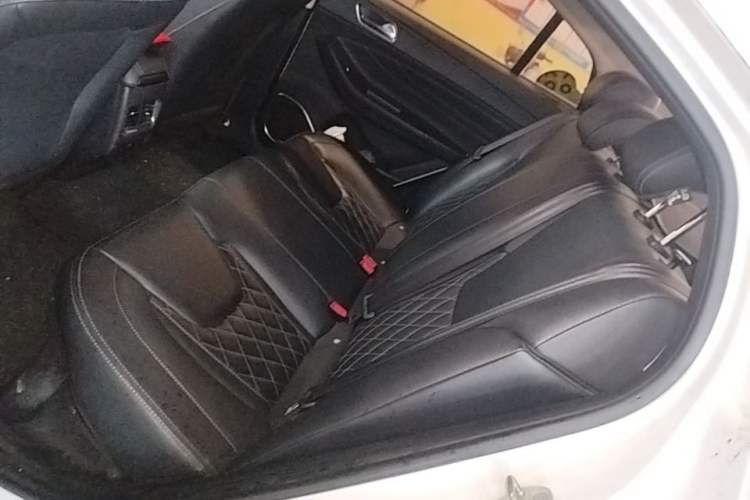 Used Chery Arrizo GX 2019 Pro 1.5T CVT Model Color Version China VI Standard Left Rear Seat