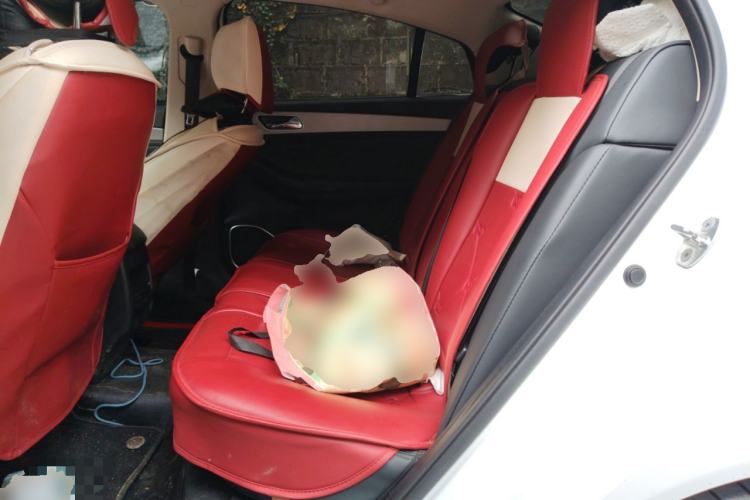 Used Chery Arrizo GX 2019 Champion Edition 1.5L CVT Fashion Model Left Rear Seat