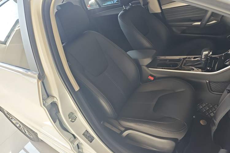 Used Chery Arrizo GX 2019 Champion Edition 1.5L CVT Fashion Model Right Front Seat