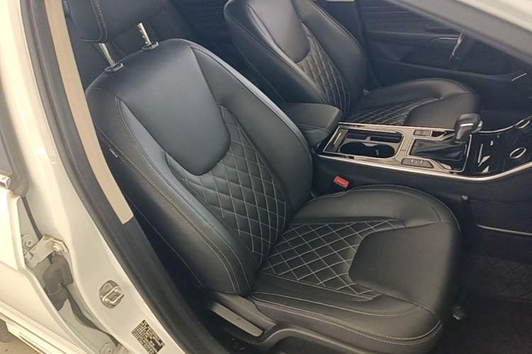 Used Chery Arrizo GX 2019 Pro 1.5T CVT Model Color Version China VI Standard Right Front Seat