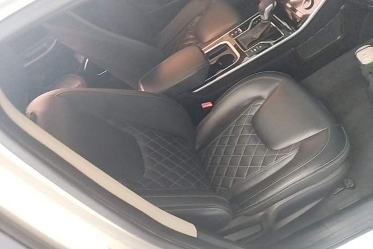 Used Chery Arrizo GX 2019 Pro 1.5T CVT Model Color Version China VI Standard Right Front Seat