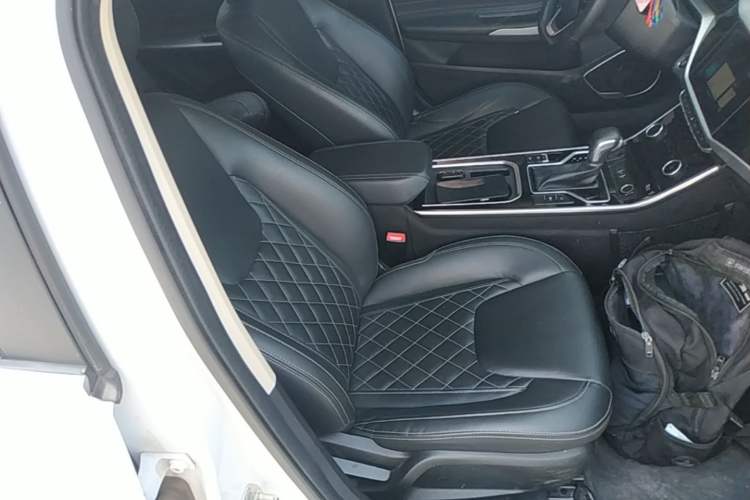 Used Chery Arrizo GX 2019 Champion Edition 1.5L CVT Elite Model Right Front Seat