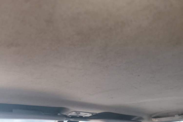 Used Chery Cowin 2 2010 1.5L Manual Standard Edition Headliner