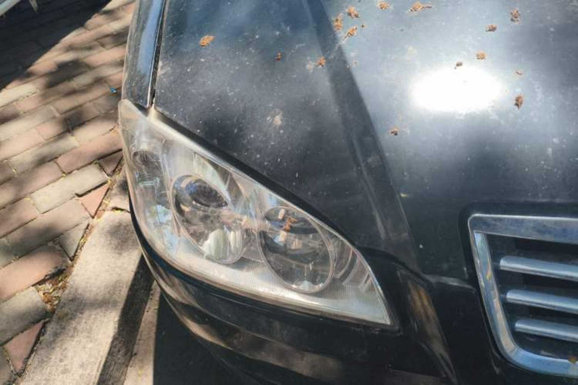 Used Chery Cowin 2 2010 1.5L Manual Standard Edition Right Front Headlight