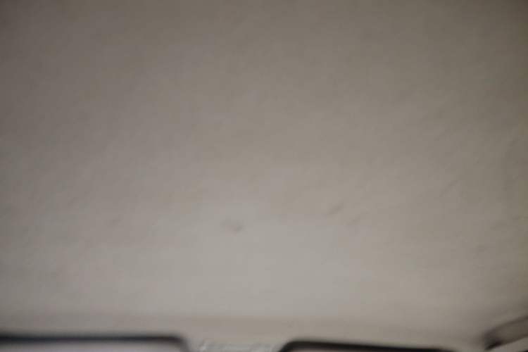 Used Chery Cowin 2 2012 1.5L Manual Performance Version Headliner