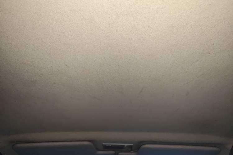Used Chery Cowin 2 2012 1.5L Manual Standard Edition Headliner