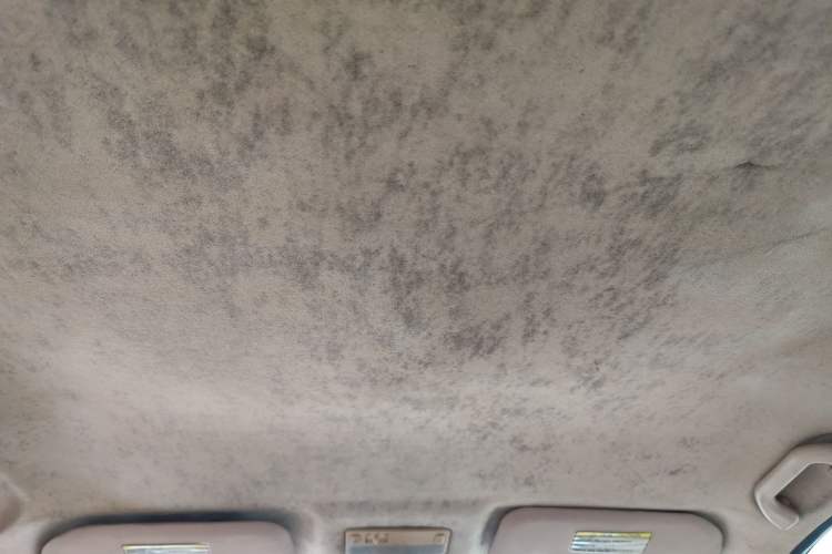 Used Chery Cowin 3 2010 1.5L Manual Elite Edition Headliner
