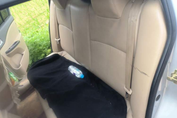 Used Chery Cowin 3 2010 1.5L Manual Elite Edition Left Rear Seat