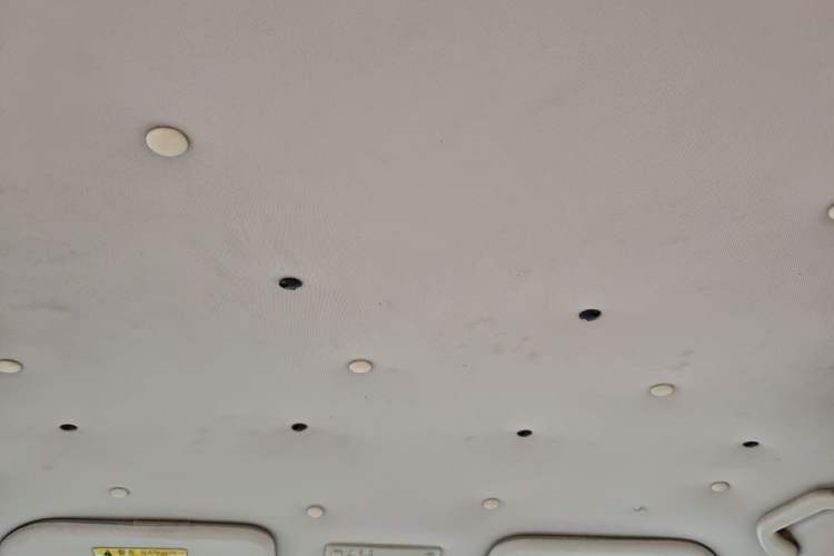 Used Chery E5 2012 1.5L Manual Sport Edition Headliner