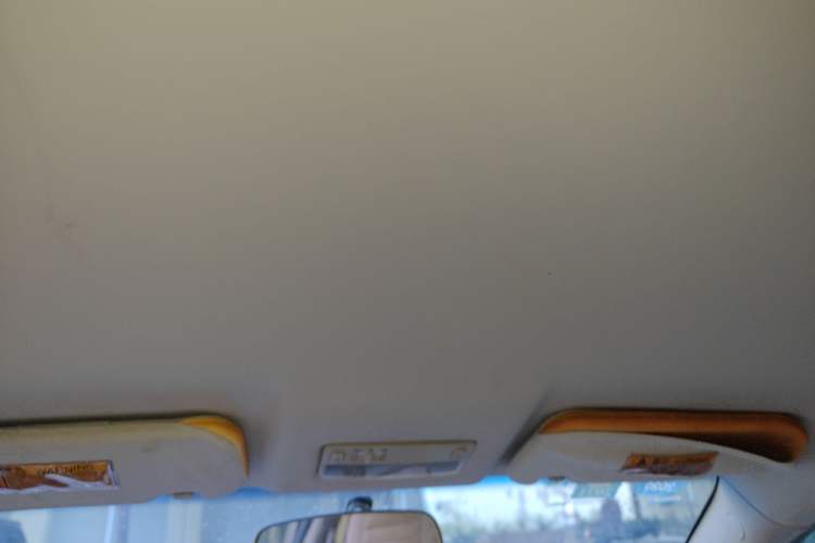 Used Chery E5  Headliner