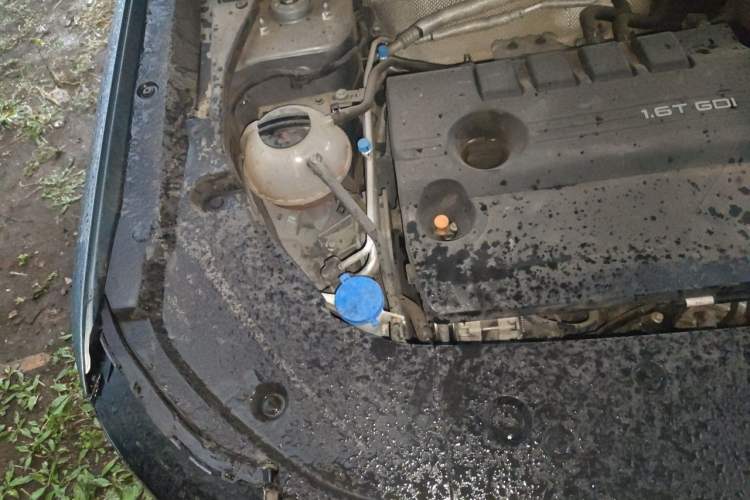 Used Chery Explore 06 2023 Urban Edition 1.6T Two-Wheel Drive Luxury Engine Bay Right