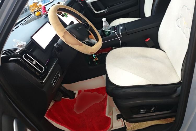 Used Chery Explore 06 C-DM 2024 Luxury Model Left Front Seat