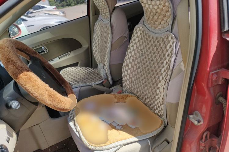 Used Chery Fengyun 2 2010 Hatchback 1.5L Ambition Model Left Front Seat