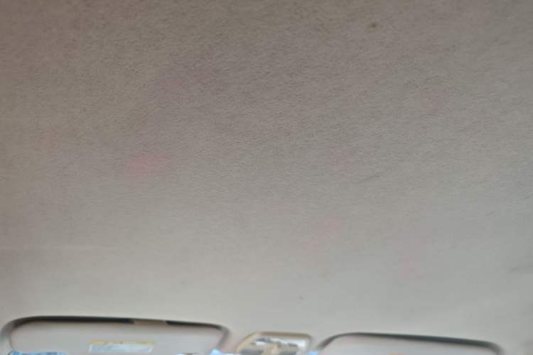 Used Chery Fengyun 2 2013 Hatchback 1.5L Manual Ruiyi Edition Headliner