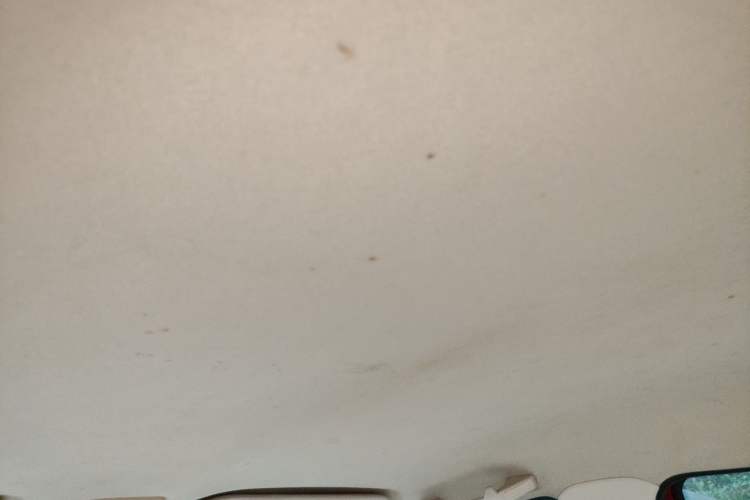 Used Chery Fengyun 2 2015 1.5L Manual New Edition Headliner