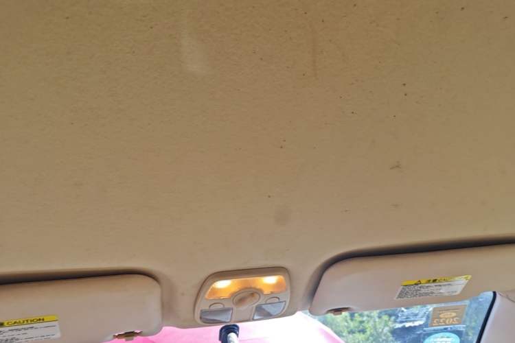 Used Chery Fengyun 2 2015 1.5L Manual New Edition Headliner