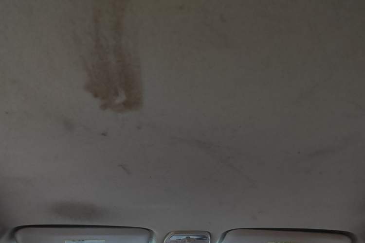 Used Chery Fengyun 2 2015 1.5L Manual New Edition Headliner