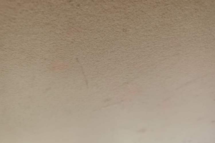 Used Chery Fengyun 2 2015 1.5L Manual New Edition Headliner