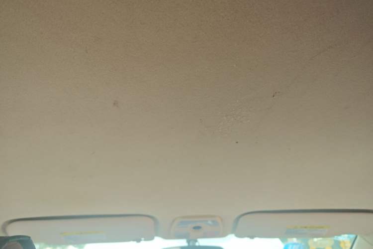 Used Chery Fengyun 2 2015 1.5L Manual New Edition Headliner