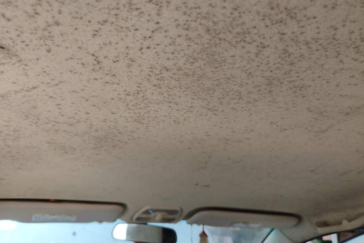 Used Chery Fengyun 2 2016 1.5L Manual Value Edition Headliner