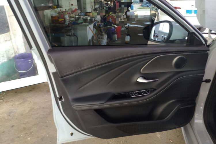 Used Chery Fengyun A8 2024 127 ZHU FENG Version Left Front Door Interior