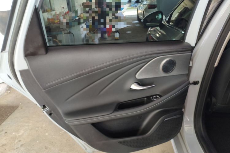 Used Chery Fengyun A8 2024 127 ZHU FENG Version Left Rear Door Interior