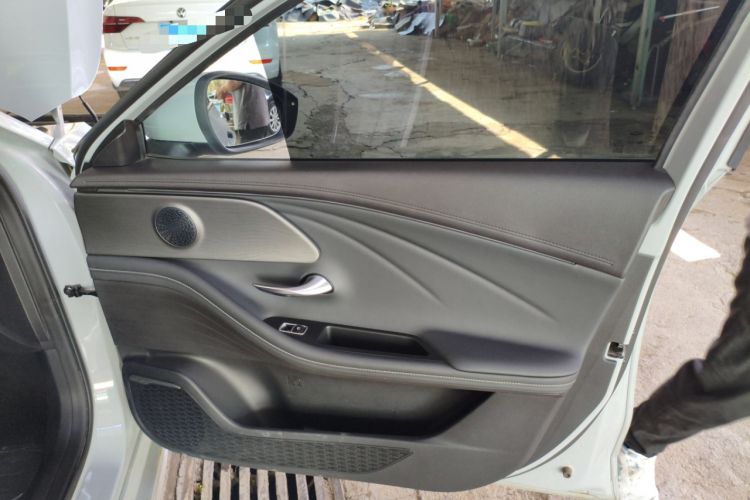 Used Chery Fengyun A8 2024 127 ZHU FENG Version Right Front Door Interior