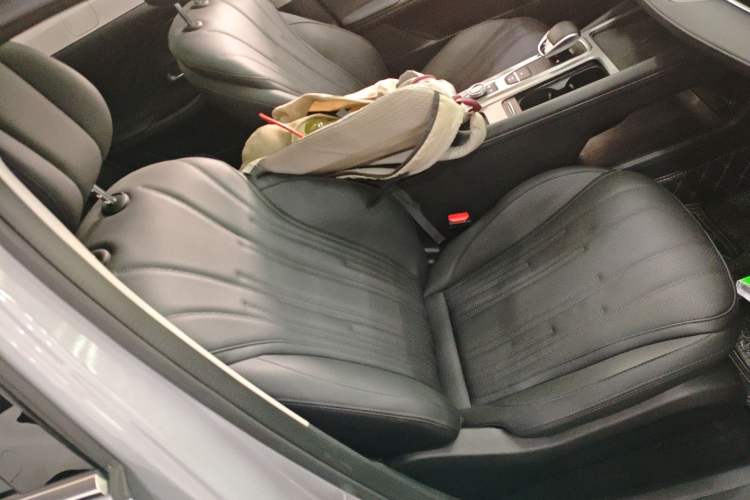 Used Chery Fengyun A8 2024 127 Chasing the Wind Edition Right Front Seat