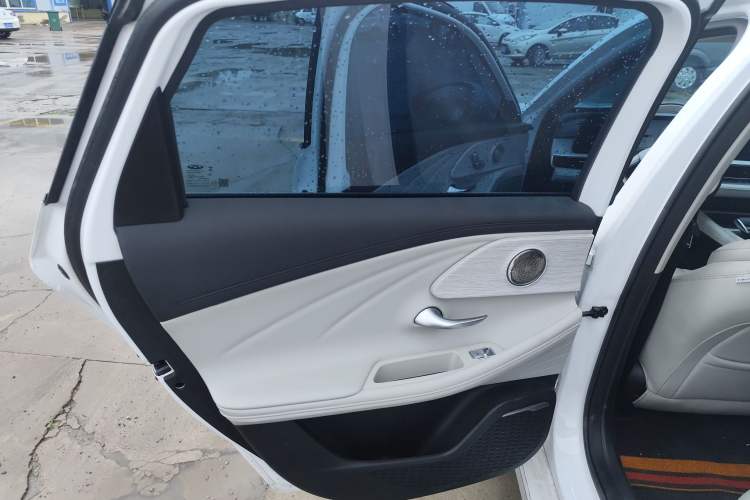 Used Chery Fengyun A8 2024 127 Yufeng Edition Left Rear Door Interior