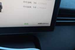 Thumbnail 13