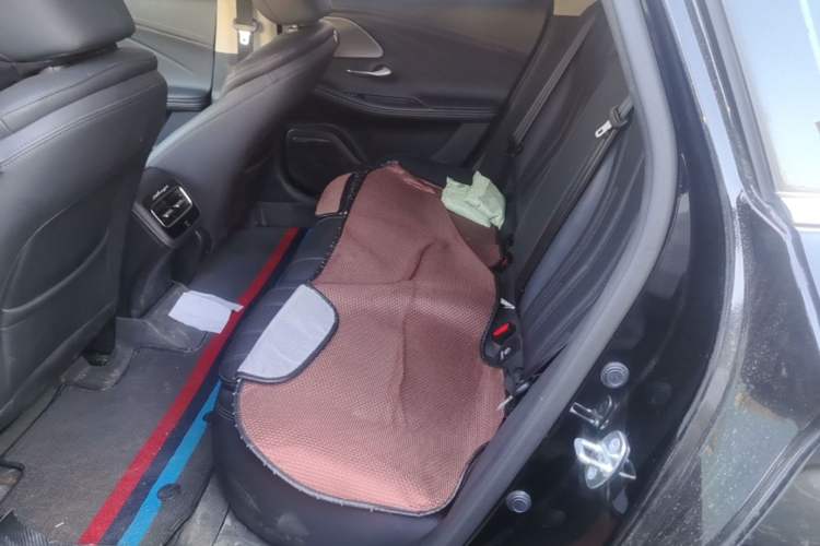 Used Chery Fengyun A8 2024 127 Chasing the Wind Edition Left Rear Seat