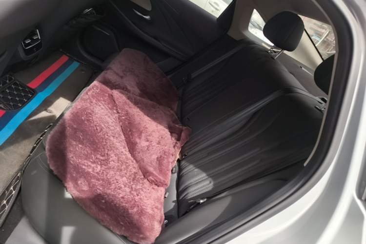 Used Chery Fengyun A8 2024 127 ZHU FENG Version Left Rear Seat