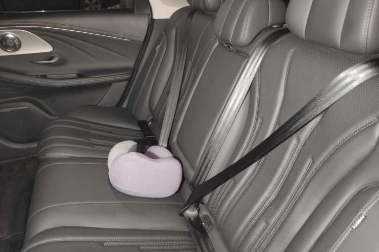 Used Chery Fengyun A8 2024 127 Yufeng Edition Left Rear Seat