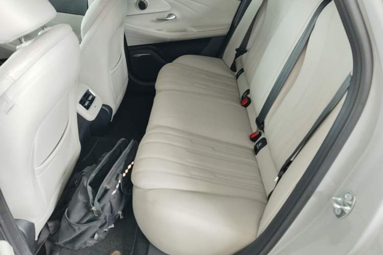 Used Chery Fengyun A8 2024 127 Long-Range Version Comfort Edition Left Rear Seat