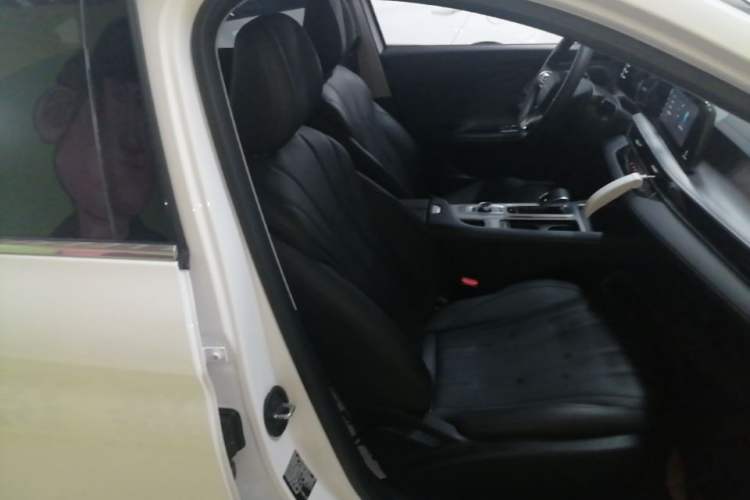 Used Chery Fengyun A8 2024 127 Long-Distance Edition Standard Version Right Front Seat
