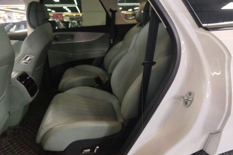 Used Chery Fengyun T10 2024 210 Luxury Edition Left Rear Seat